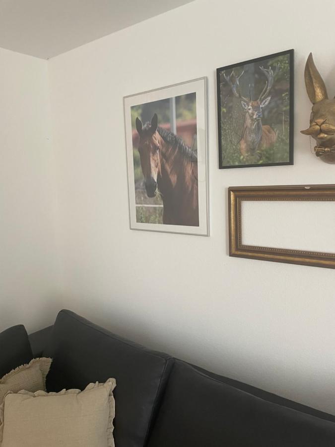 Luises Ferienglueck Apartment Vernawahlshausen ภายนอก รูปภาพ